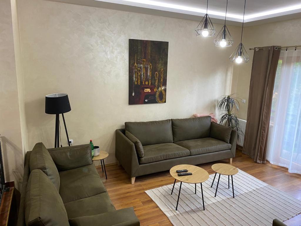 Apartments Vila Knez Ζλάτιμπορ Δωμάτιο φωτογραφία